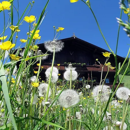 Chalet Almstadl 木屋